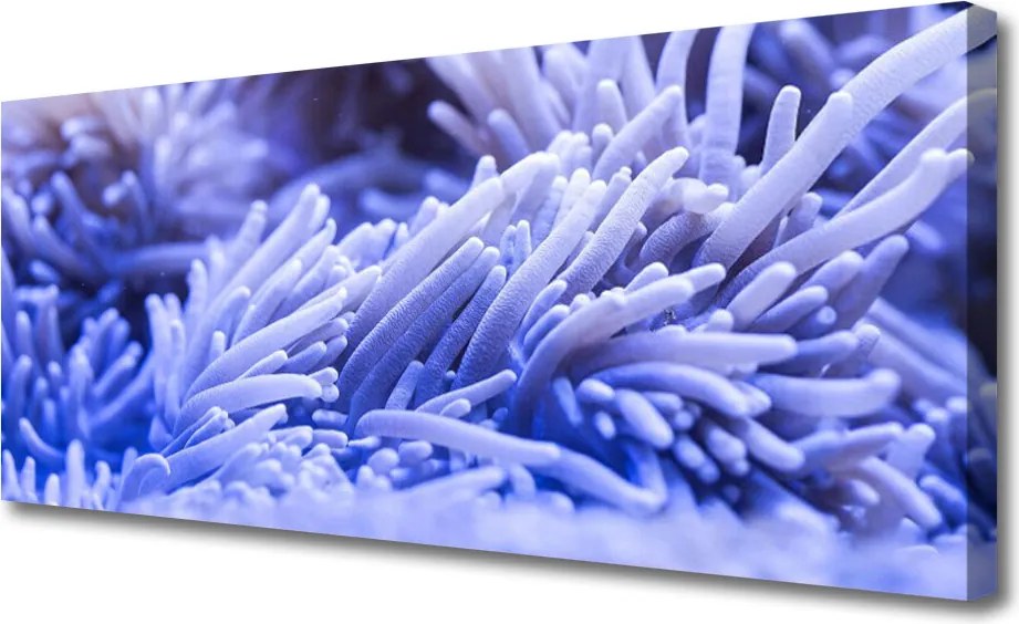 Obraz canvas Modernistyczna Gra Barw