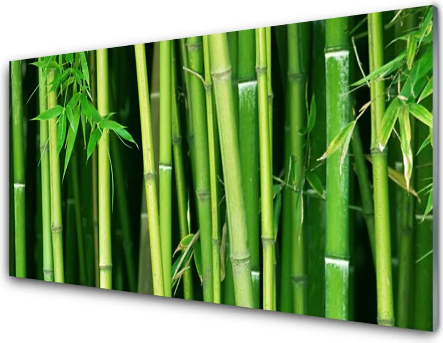 Panel nad blat kuchenny Tajemniczy Las Bambusowy