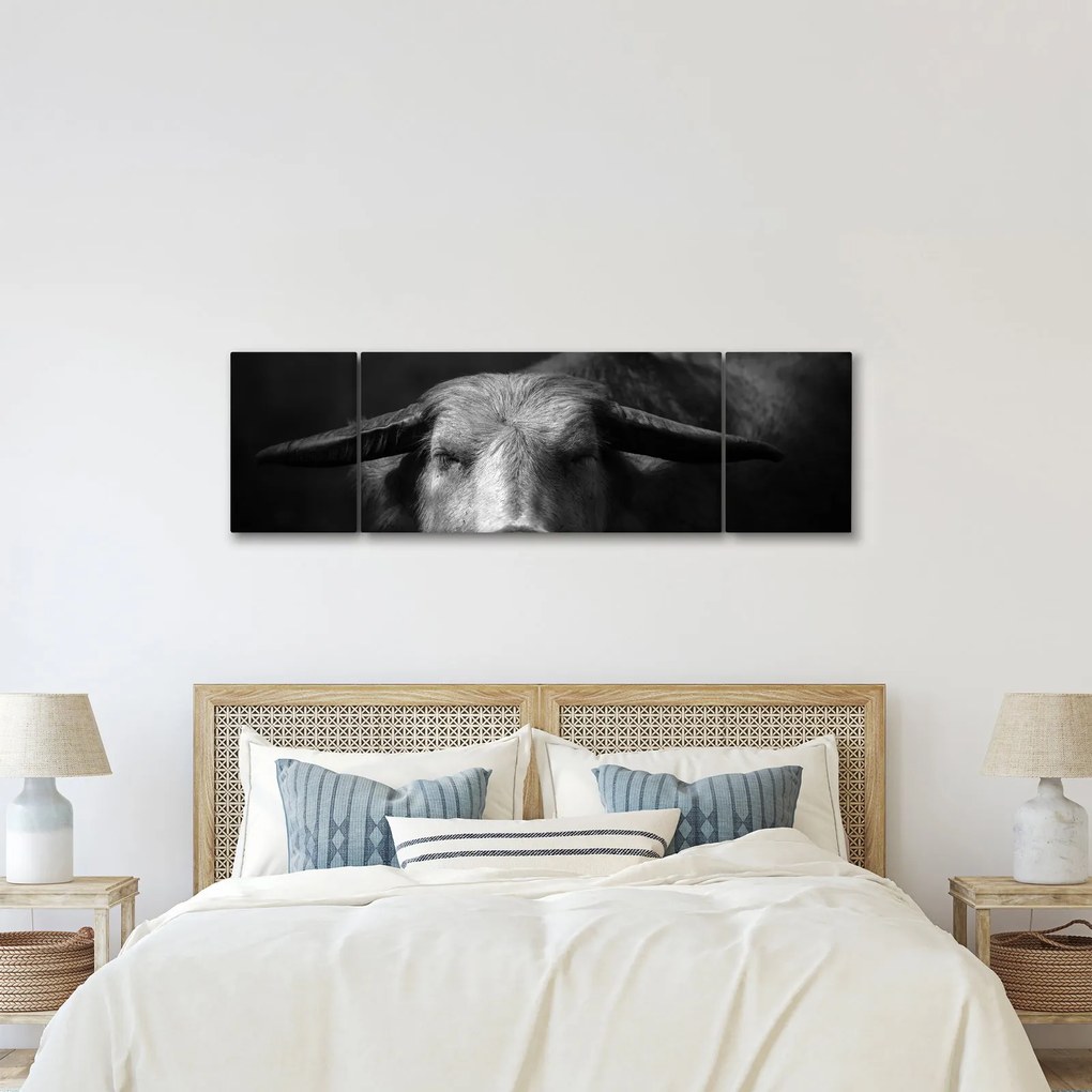 Obraz - Krowa (170x50 cm)
