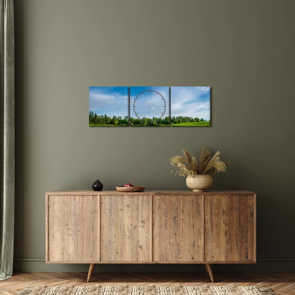 Obraz łąki (z zegarem) (90x30 cm)