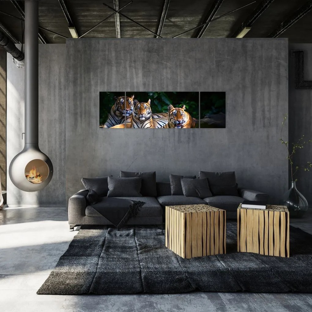 Obraz - Tygrysi Bracia (170x50 cm)