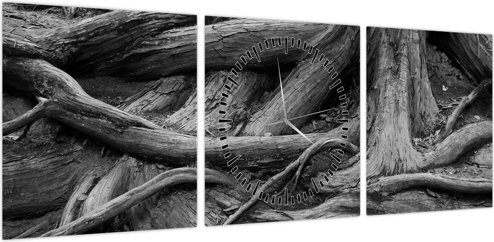 Obraz - Korzenie drzewa (z zegarem) (90x30 cm)