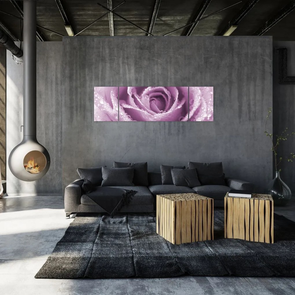 Obraz szczegółu kwiatu róży (170x50 cm)