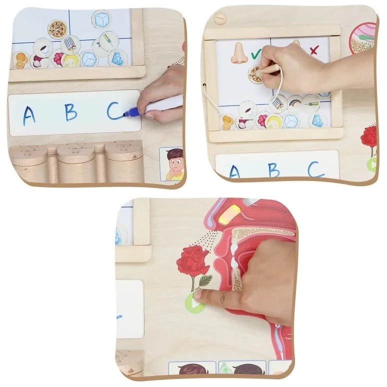 Masterkidz tablica edukacyjna zmysł węchu montessori