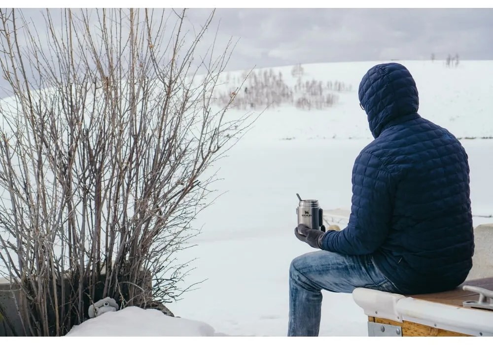 Termos na jedzenie ze stali nierdzewnej w kolorze srebra 530 ml Adventure – Stanley