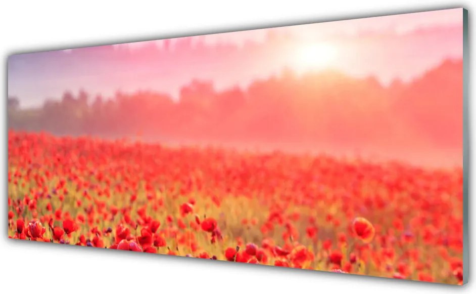 Panel Kuchenny Sielska Łąka W Kwiatach