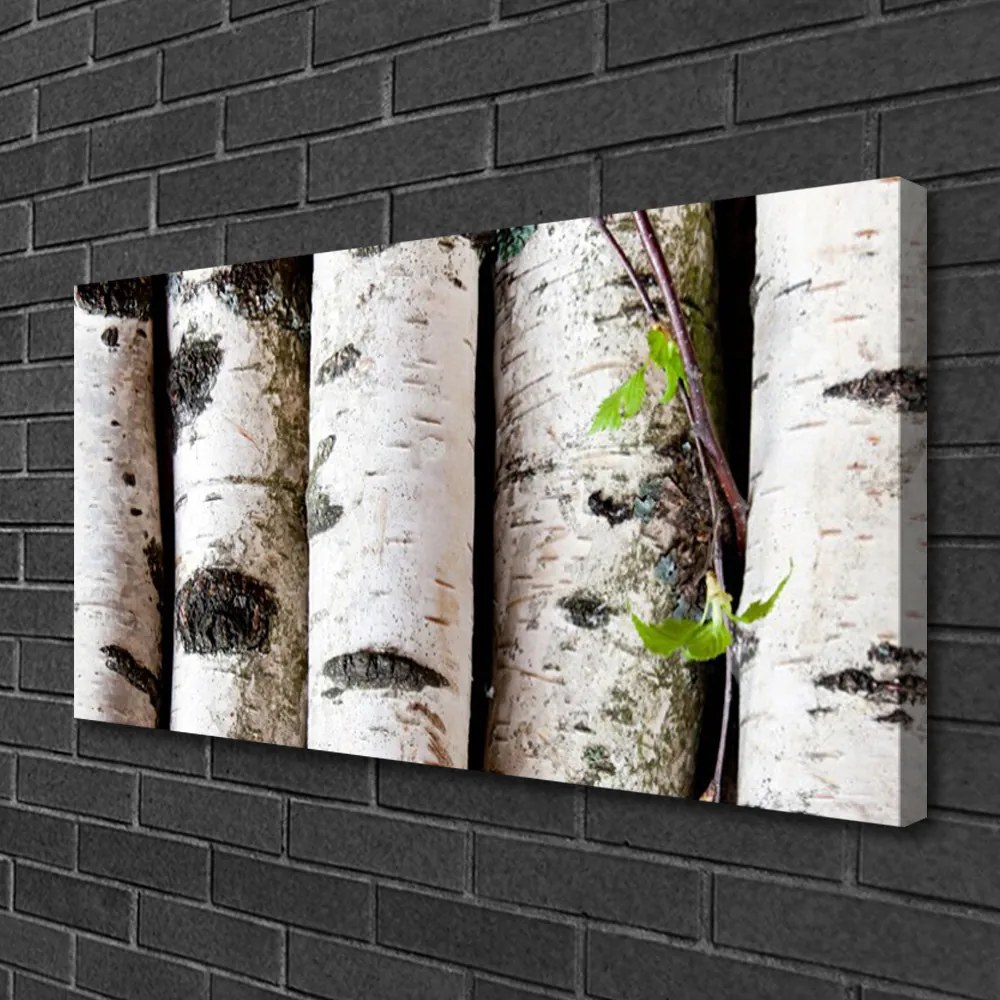 Obraz na płótnie Sylwetka Starego Drzewa