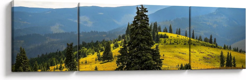 Obraz - Górska łąka (170x50 cm)