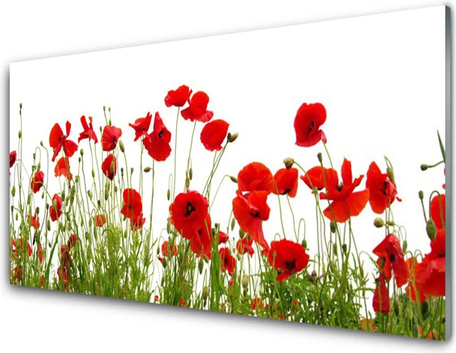 Panel Szklany Czerwone Maki w Letnim Polu