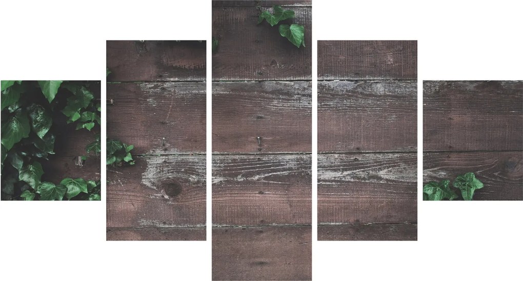 Obraz - Bluszcz (125x70 cm)