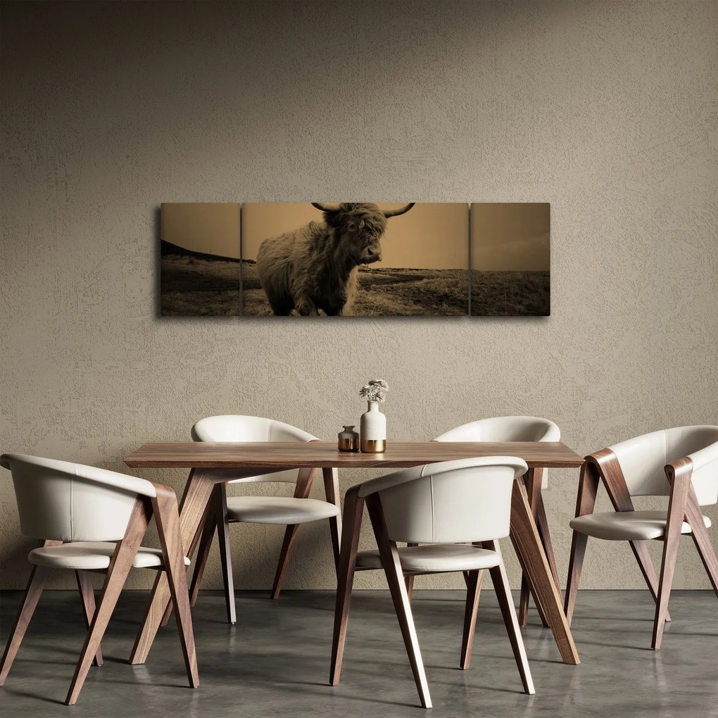 Obraz - Szkocka krowa na wolności (170x50 cm)
