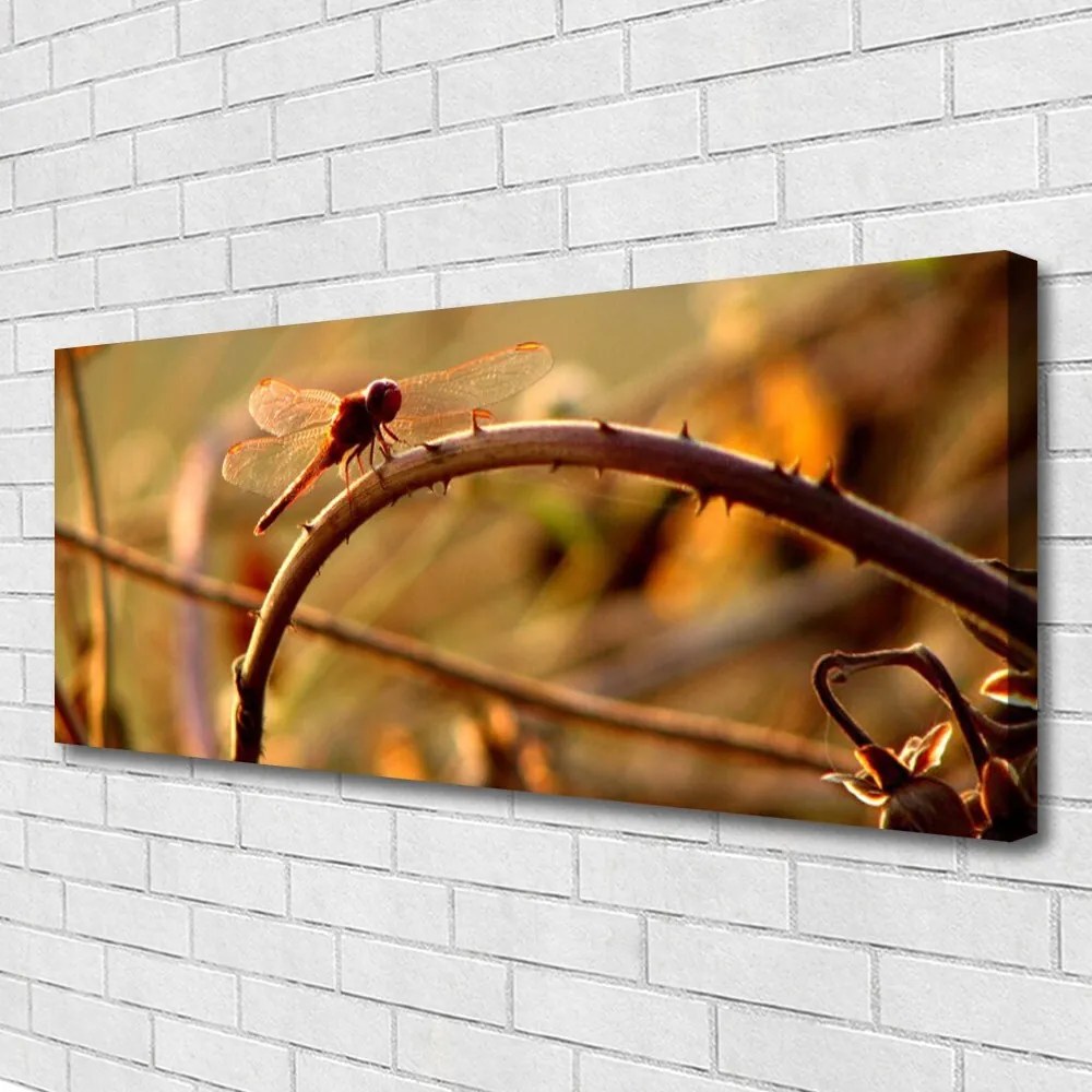 Obraz na płótnie Ważka na Roślinie
