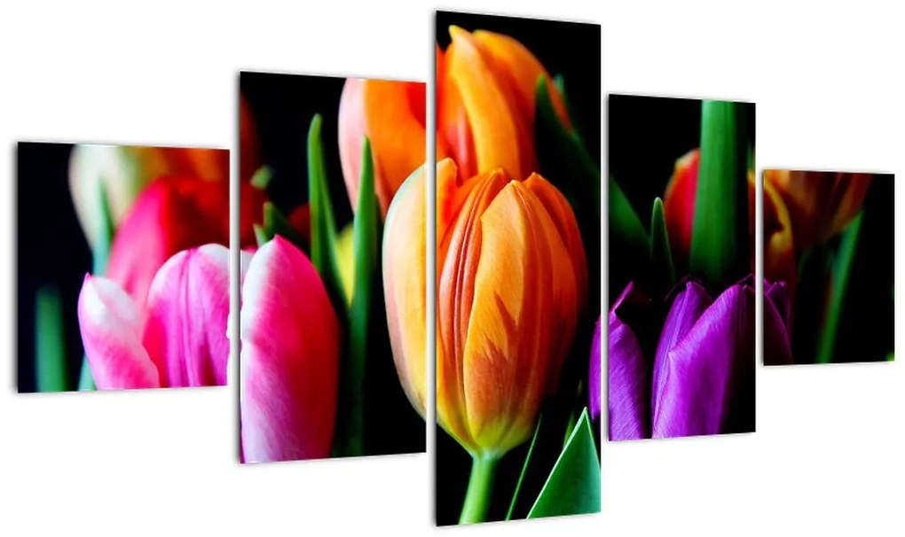 Obraz tulipanów na czarnym tle (125x70 cm)