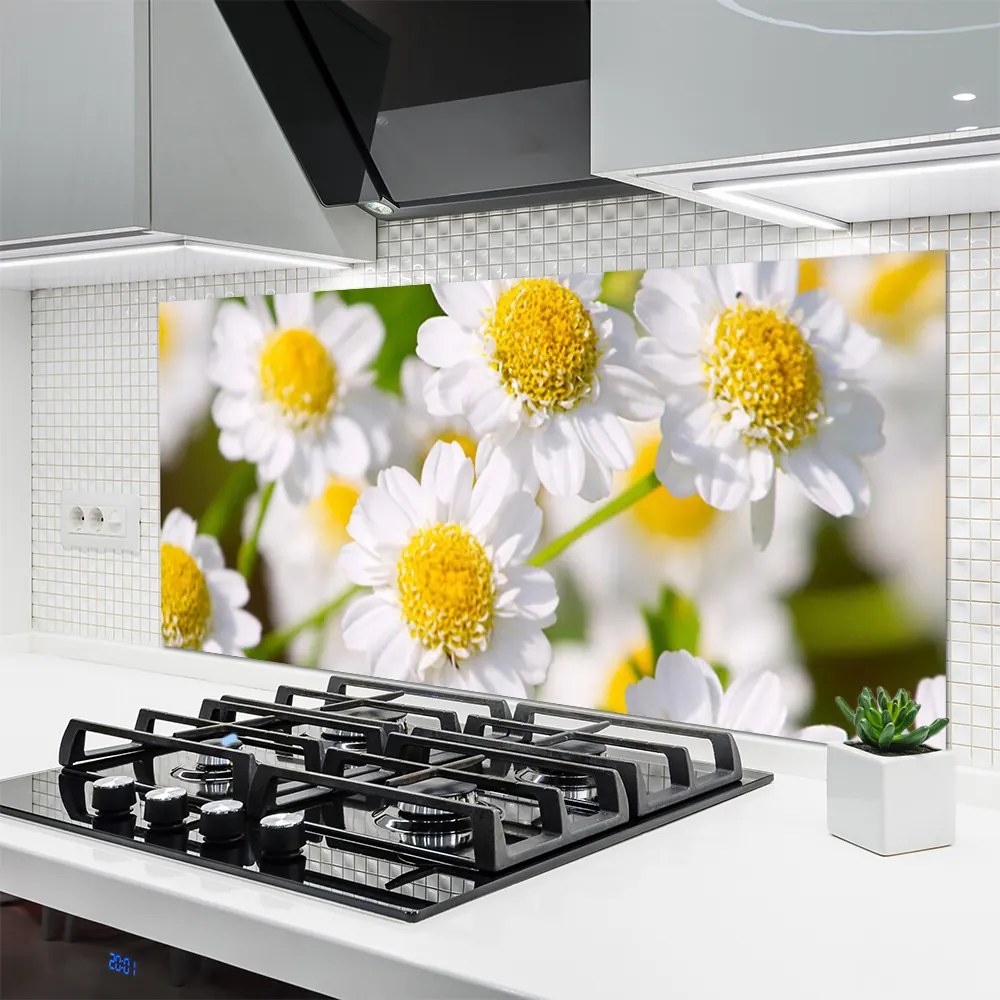 Panel nad blat kuchenny Stokrotki w Promieniach Słońca