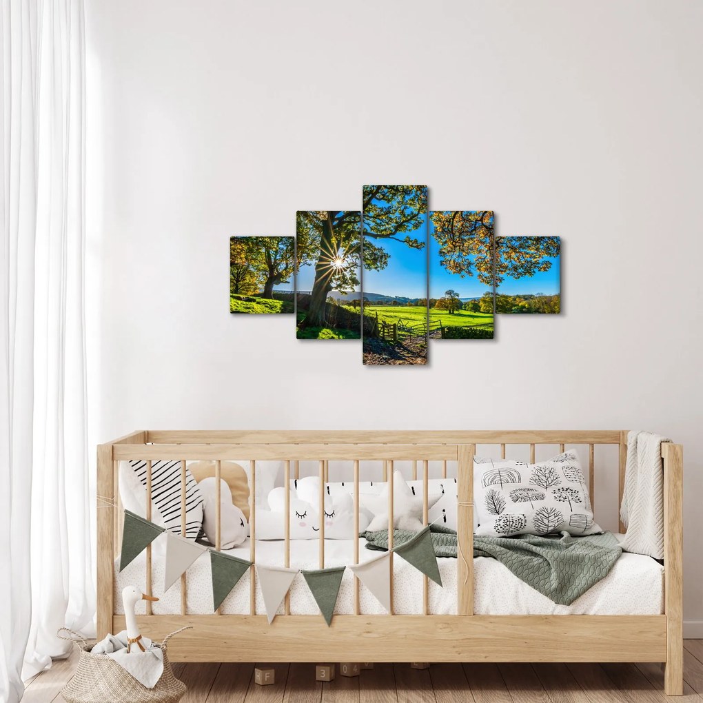 Obraz - widok pola (125x70 cm)