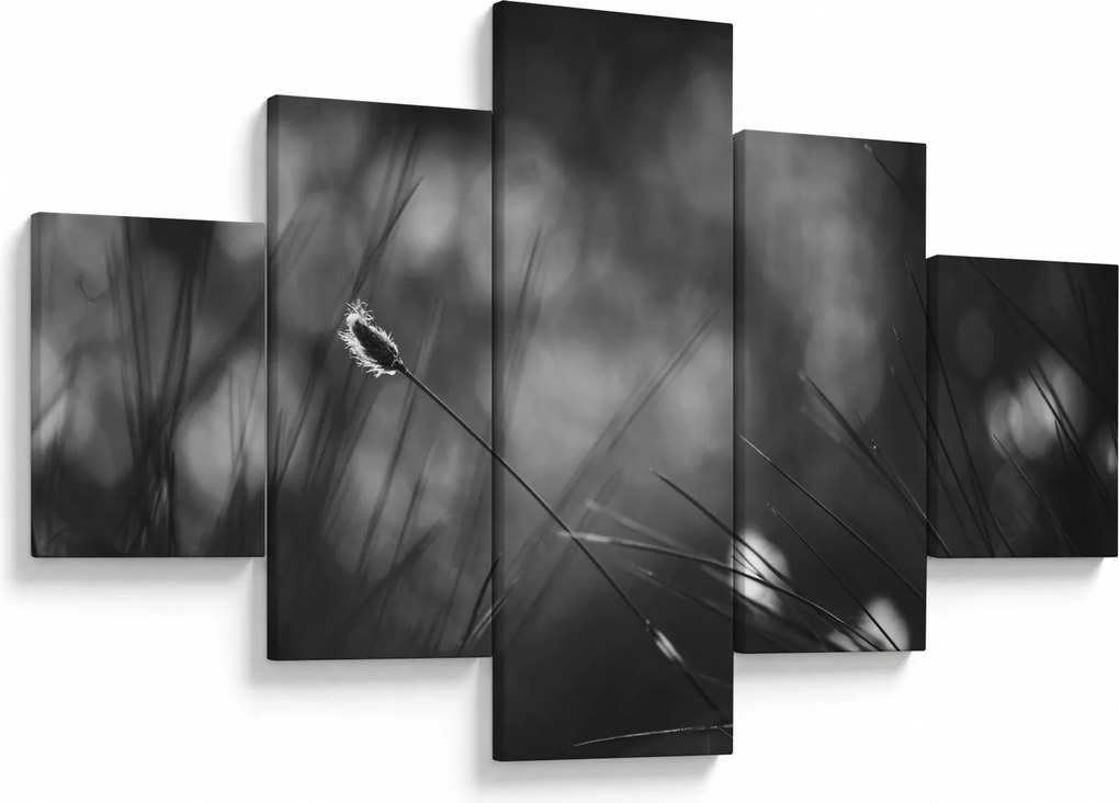 Obraz - Trawa łąkowa (125x70 cm)