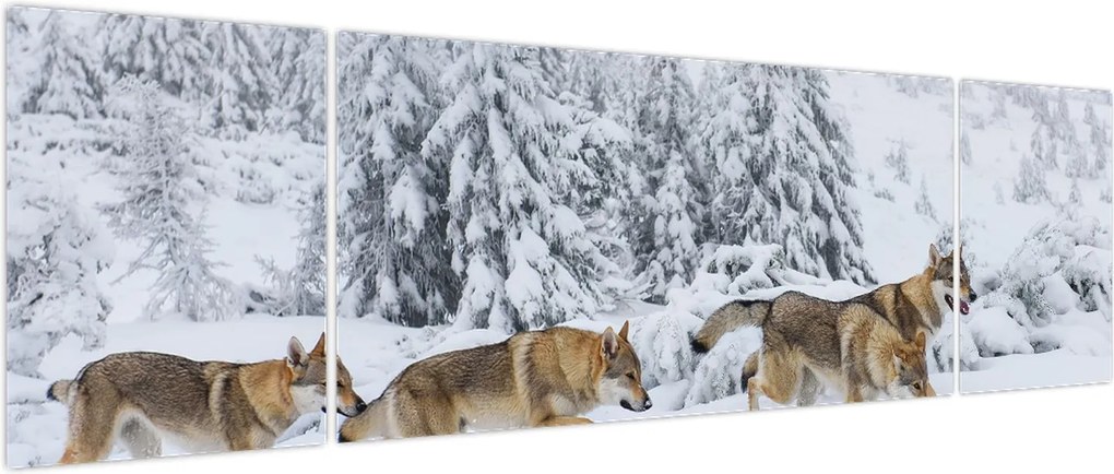 Obraz - Wilki w górach (170x50 cm)