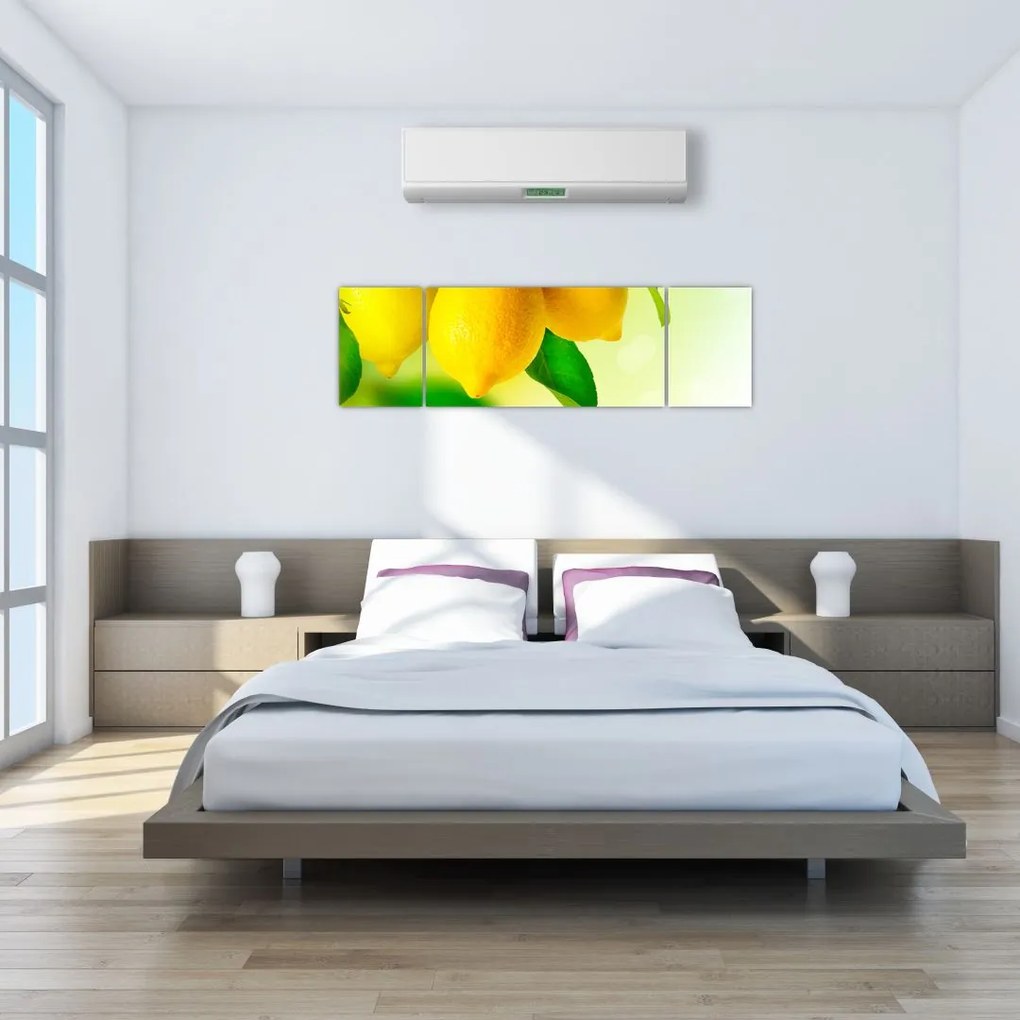 Obraz cytryn (170x50 cm)