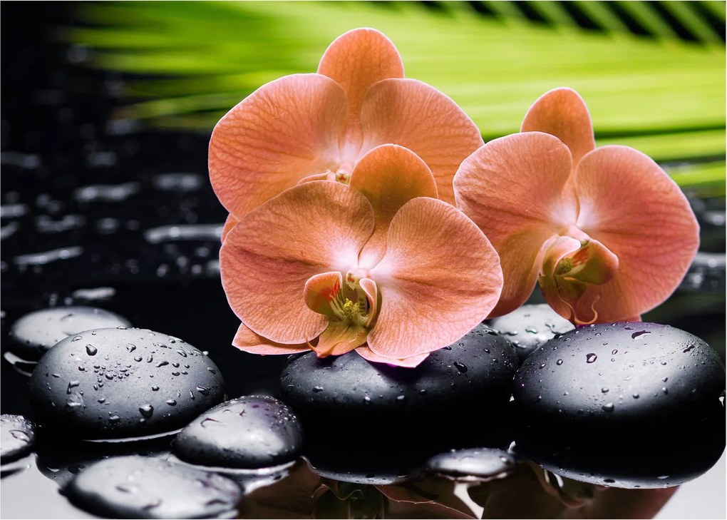 Obraz - Pomarańczowa orchidea z liśćmi palmy (70x50 cm)
