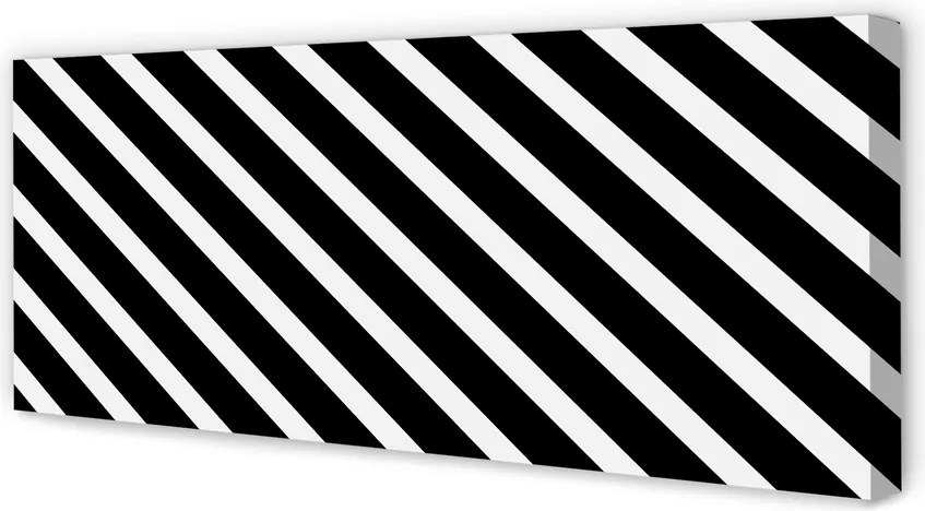 Duży obraz na płótnie Klasyczny Wzór Zebry