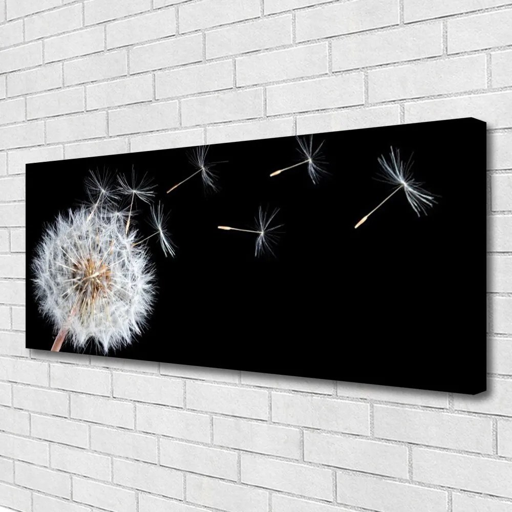 Obraz canvas Ulotność Polnego Dmuchawca