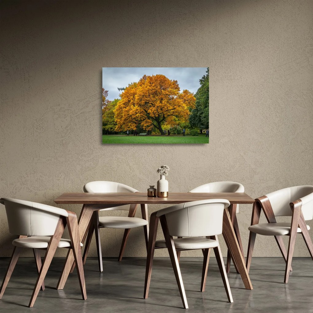 Obraz na szkle - drzewo (70x50 cm)