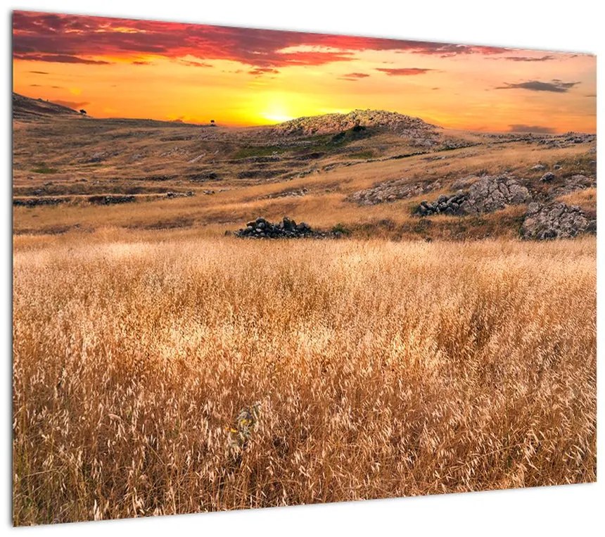 Obraz pola (70x50 cm)