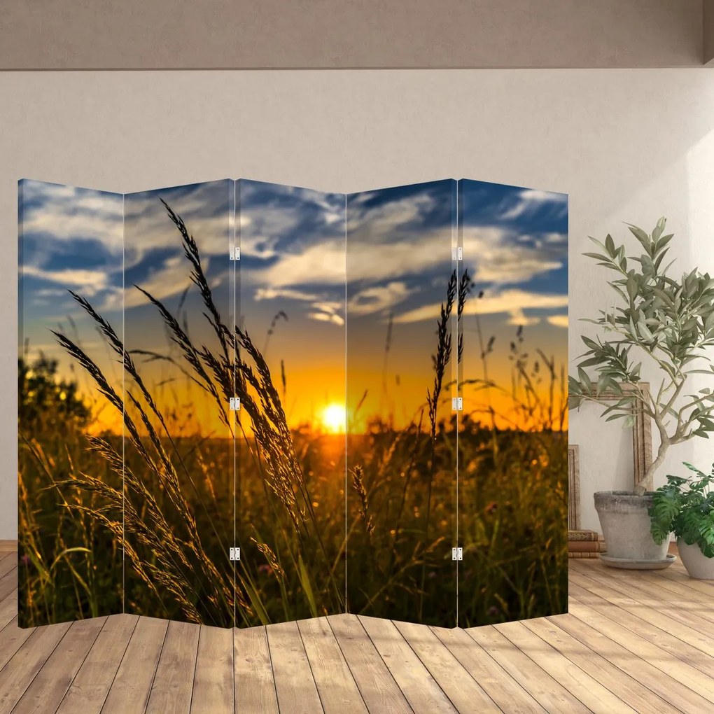 Parawan - Pole o zachodzie Słońca (210x170 cm)