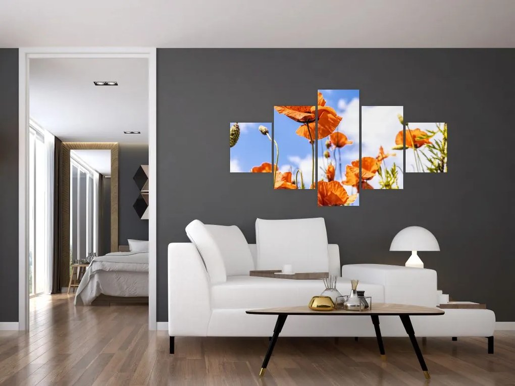 Obraz maków (125x70 cm)