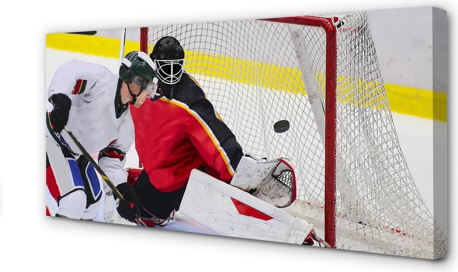 Obraz na płótnie Emocje Na Lodowej Tafli