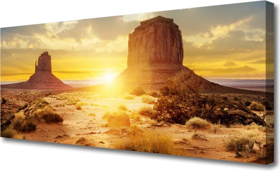 Obraz na płótnie Pustynny Blask Słońca