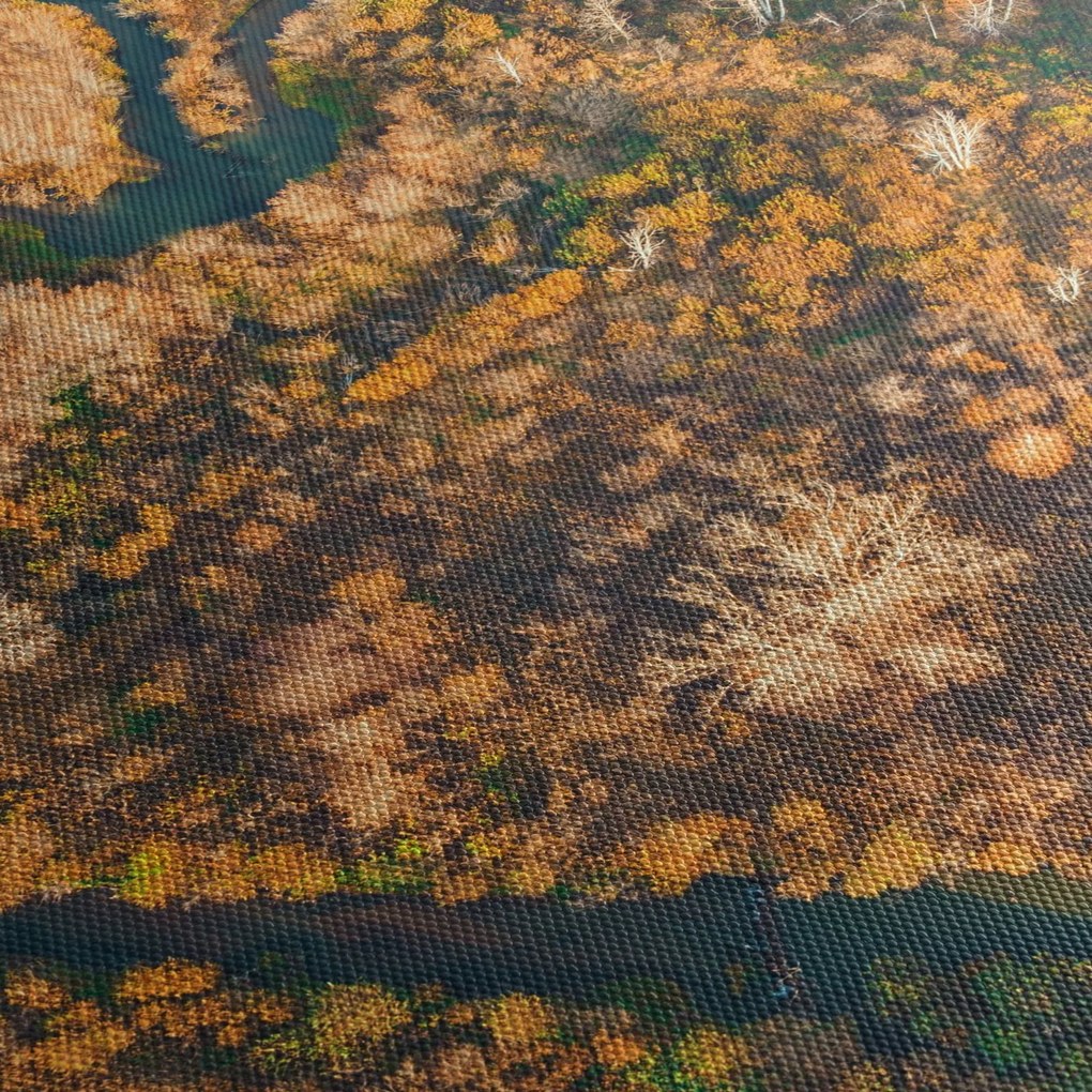 Obraz - Rzeka w kształcie serca (170x50 cm)