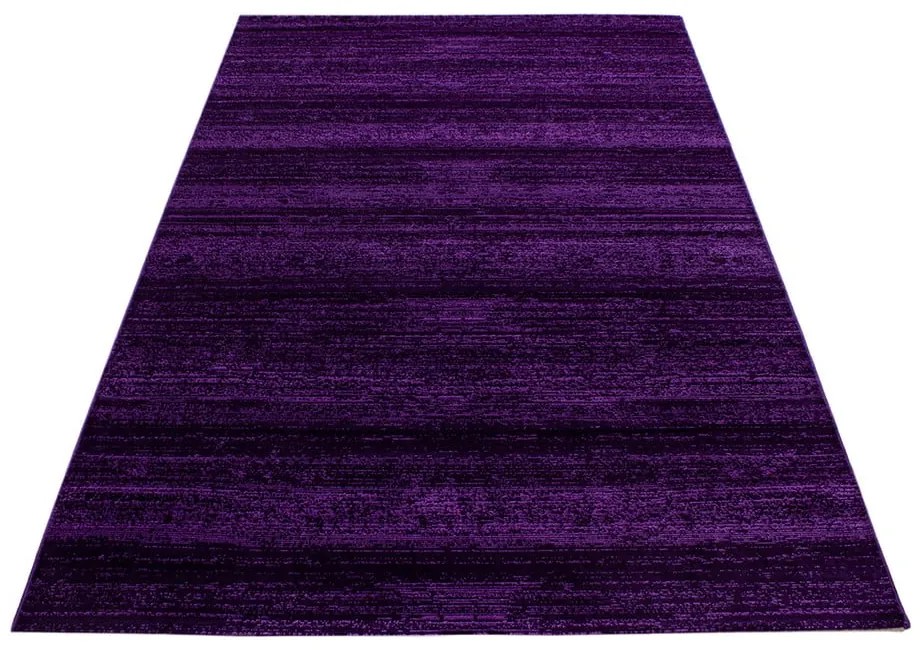 Ciemnofioletowy dywan 140x200 cm Plus – Ayyildiz Carpets