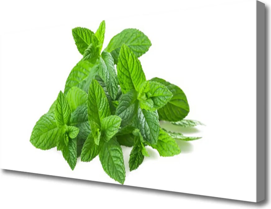 Obraz canvas Świeżość Liści Mięty