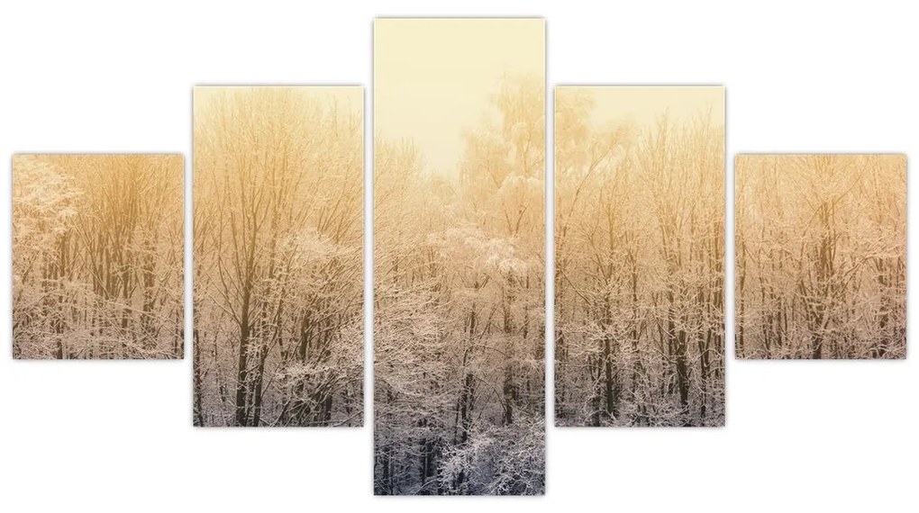 Obraz mroźnego lasu (125x70 cm)