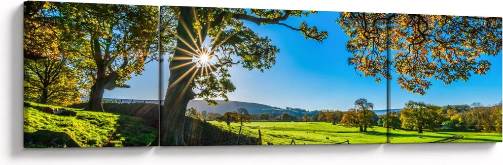 Obraz - widok pola (170x50 cm)