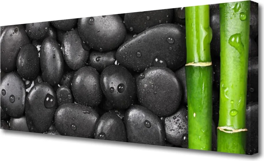 Obraz canvas Świeżość Bambusa w Spa