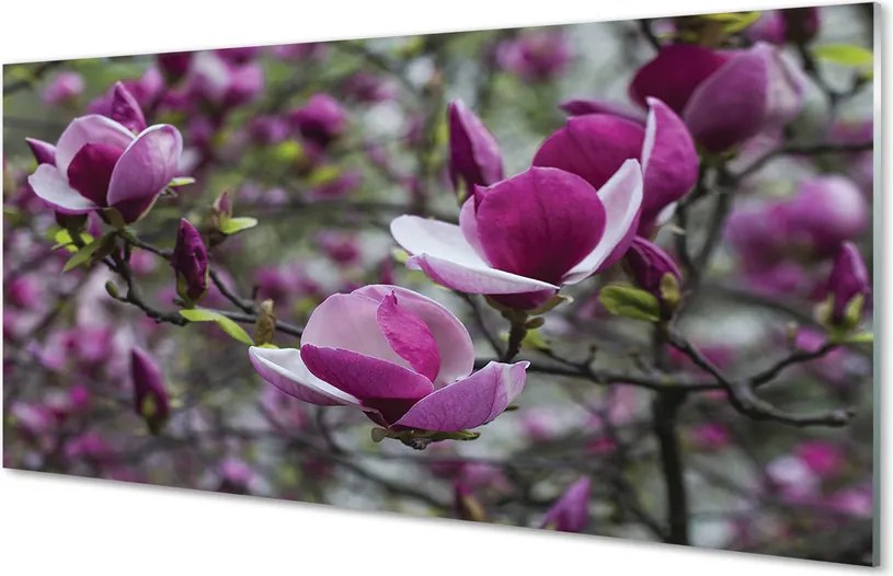 Szklany Panel Fioletowy Kwiat Magnolii
