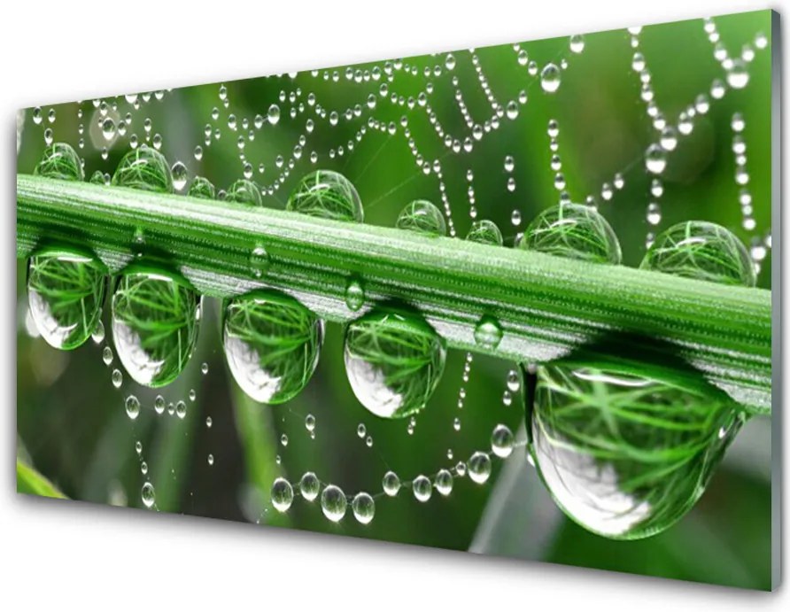 Panel nad blat kuchenny Perlista Pajęczyna W Rosie