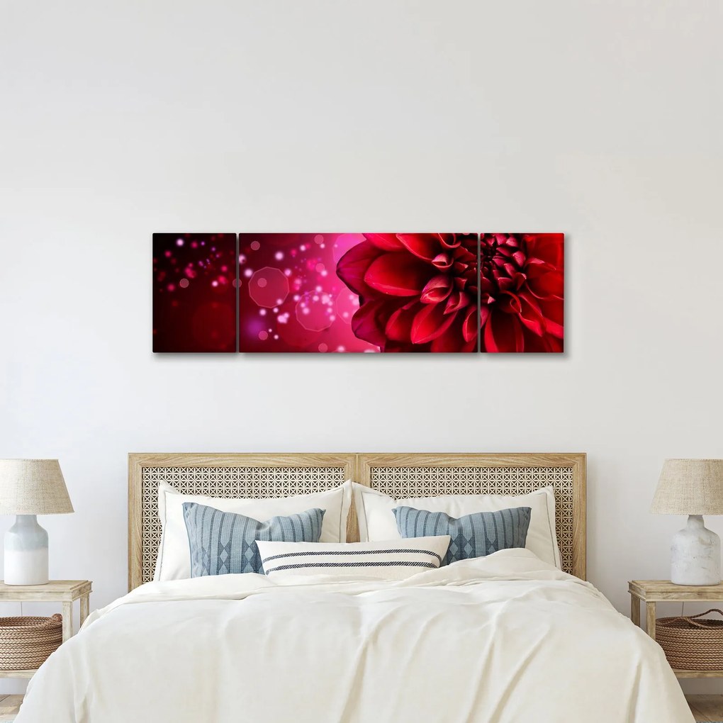 Obraz czerwonego kwiatu (170x50 cm)