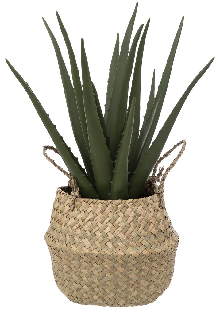 Sztuczna roślina ALOES w koszyku, 37 cm