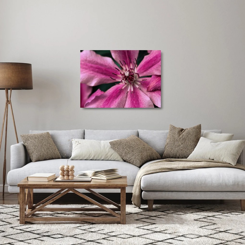 Obraz na szkle różowego kwiatu powojnika (70x50 cm)