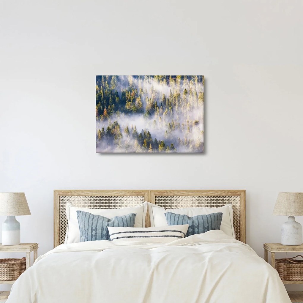Obraz drzew we mgle (70x50 cm)