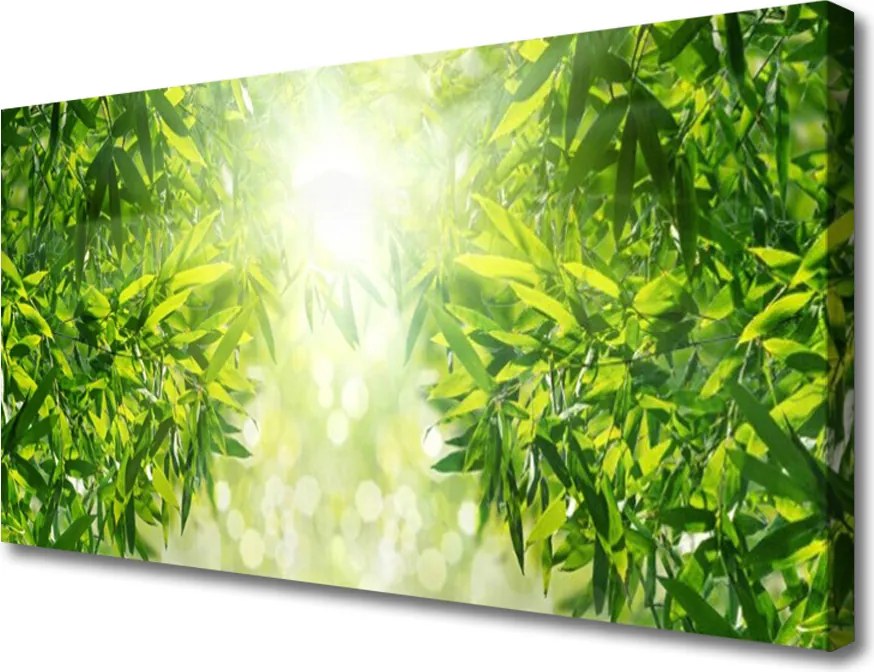 Obraz na płótnie Detale Jesiennych Liści