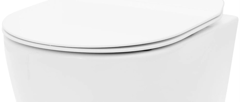 DESKA SEDESOWA WC WOLNOOPADAJĄCA CARLO/CARTER