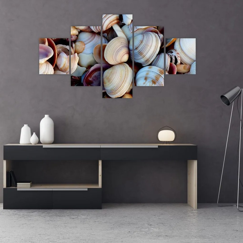 Obraz muszelek (125x70 cm)