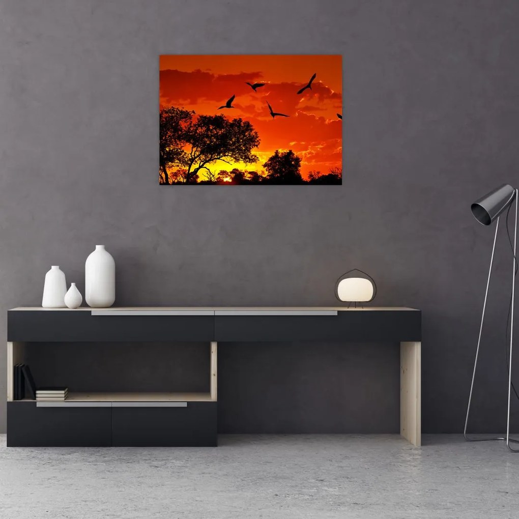 Obraz na szkle ptaków o zachodzie słońca (70x50 cm)