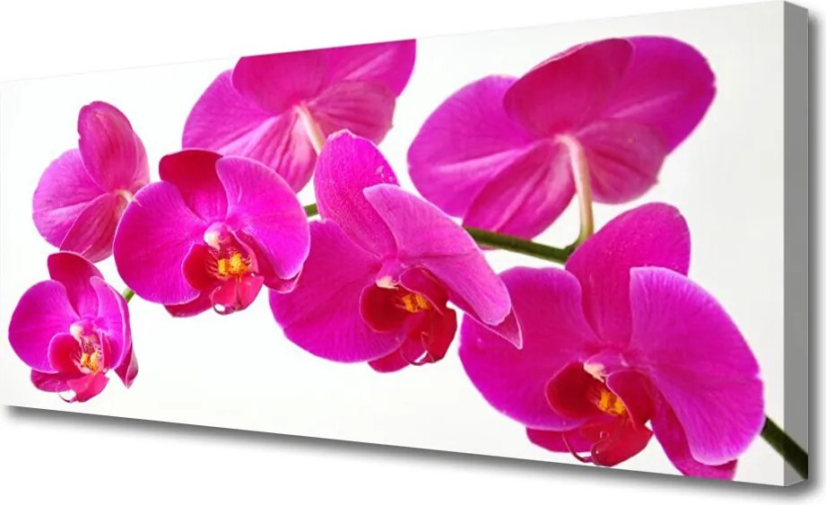 Obraz na płótnie Nowoczesna Grafika Kwiatowa