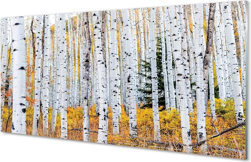 Panel szklany do Kuchni Jesień w Brzozowym Gaju