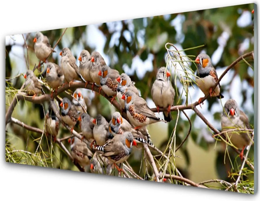 Panel Kuchenny Ptaki W Locie Nad Lasem